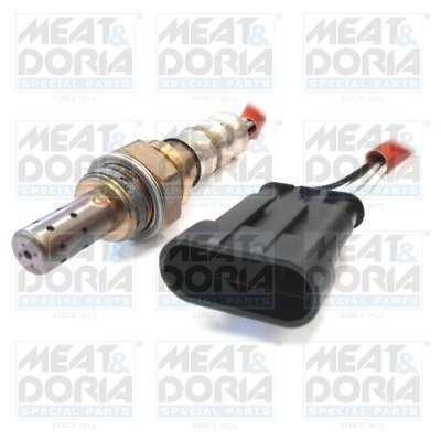 Oxygen Sensor